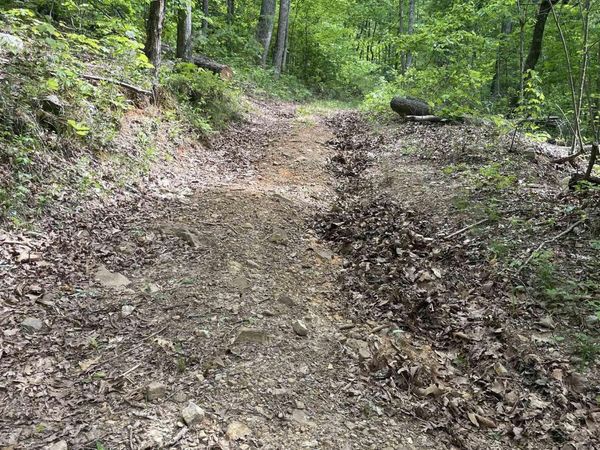 12.160 acres Cottonville Road, Grant, AL 35747