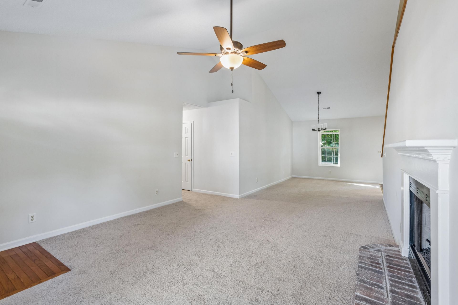 103 Mackerel Photo 10