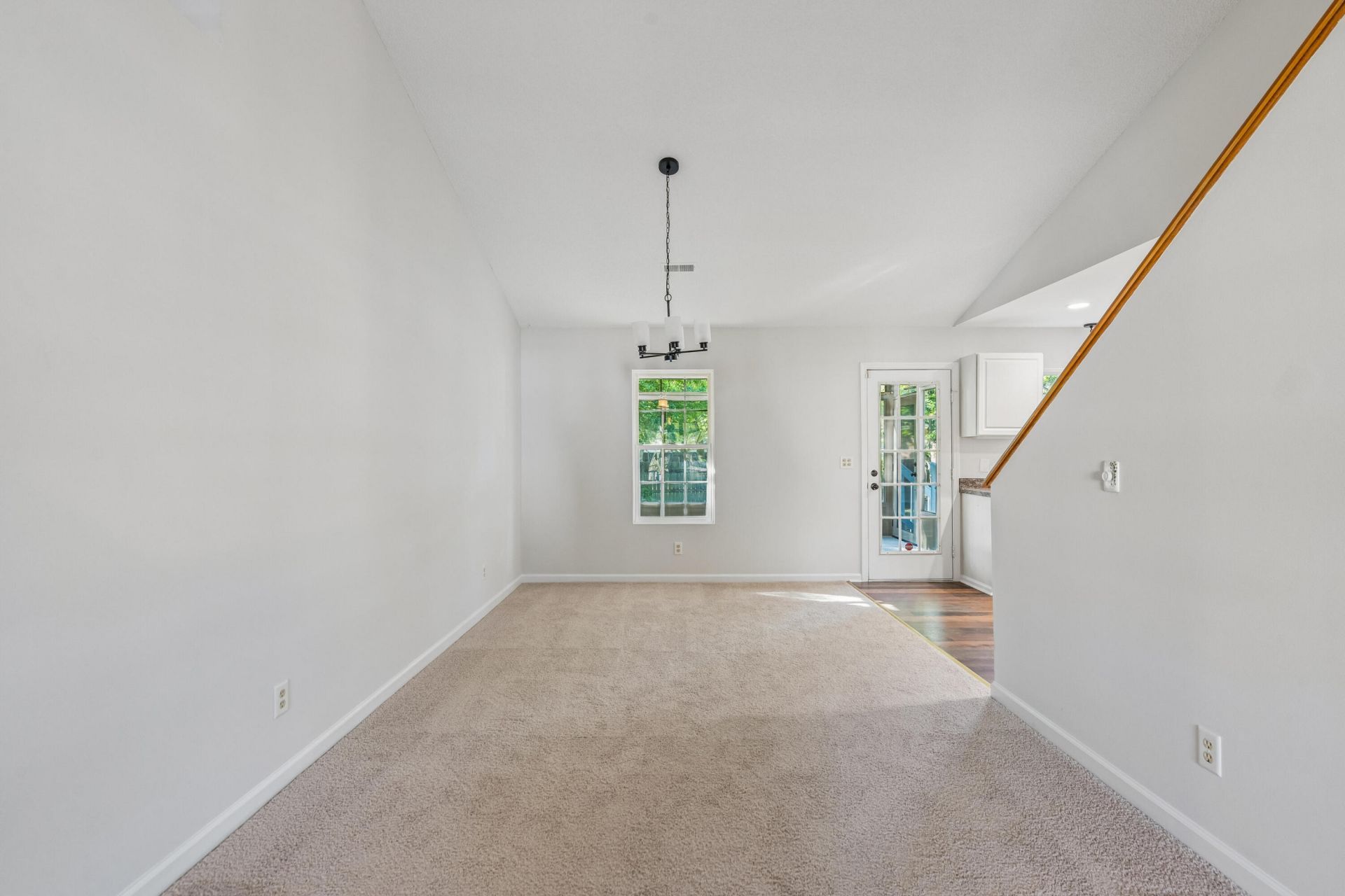 103 Mackerel Photo 13