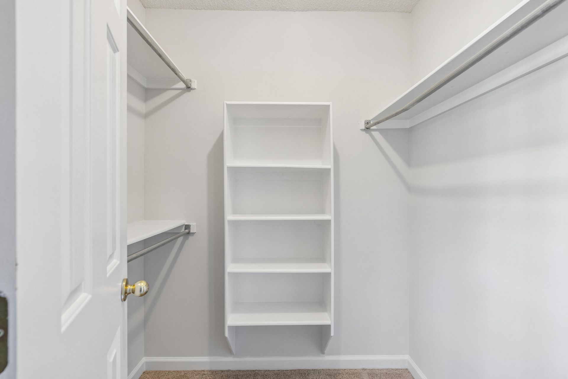 103 Mackerel Photo 30