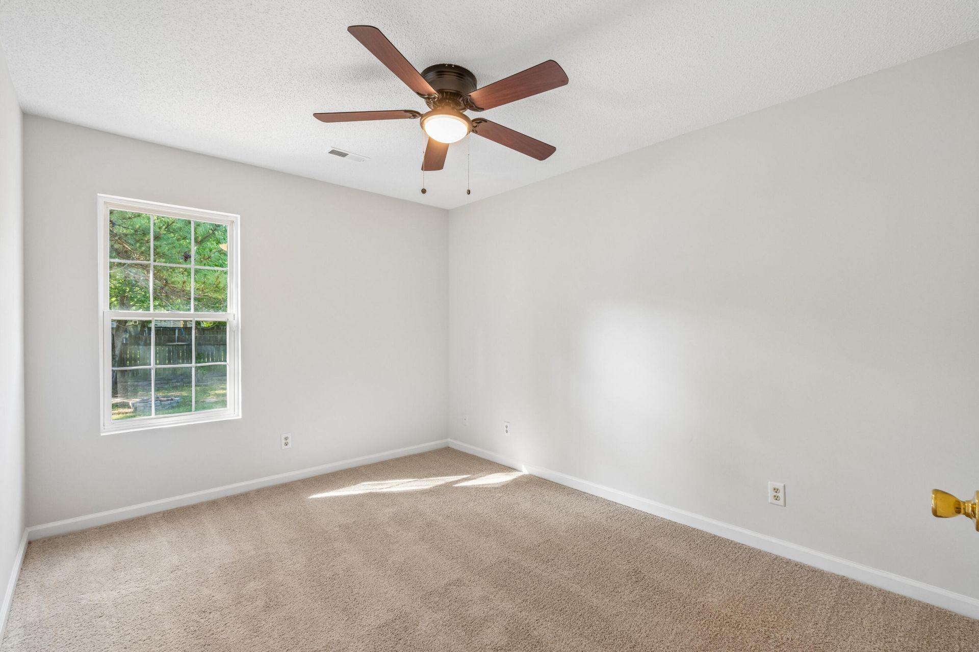 103 Mackerel Photo 31