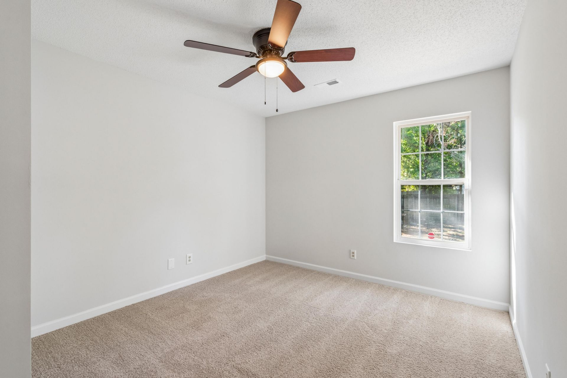 103 Mackerel Photo 34