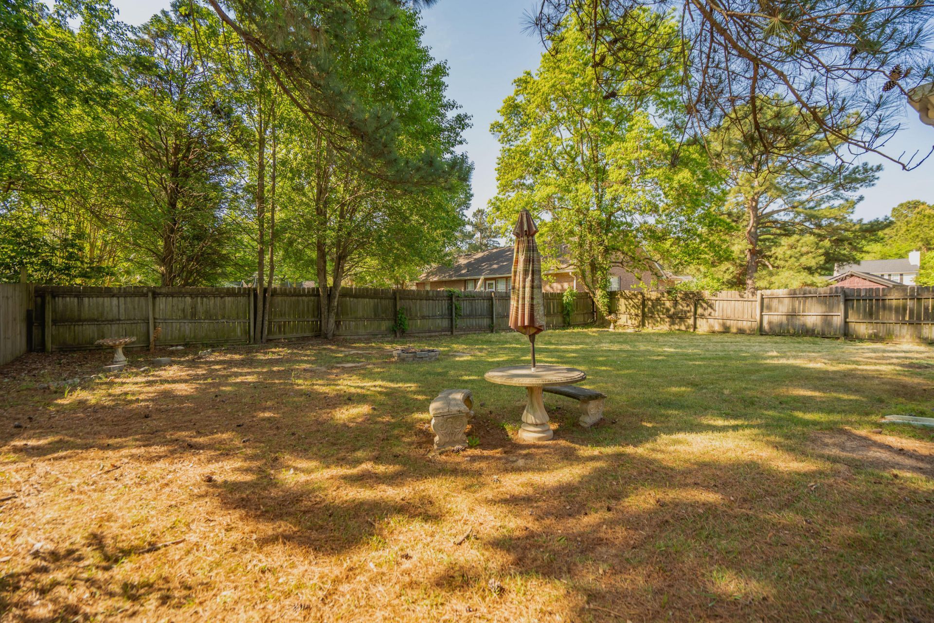 103 Mackerel Photo 41