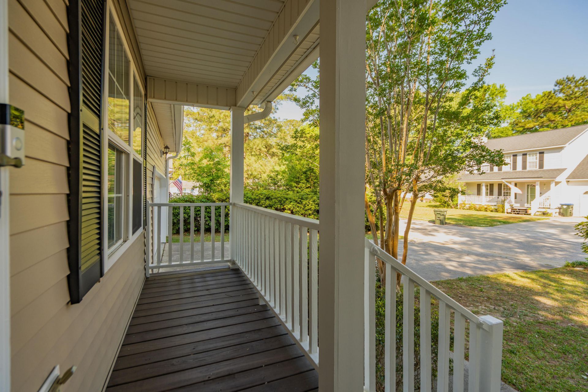 103 Mackerel Photo 6