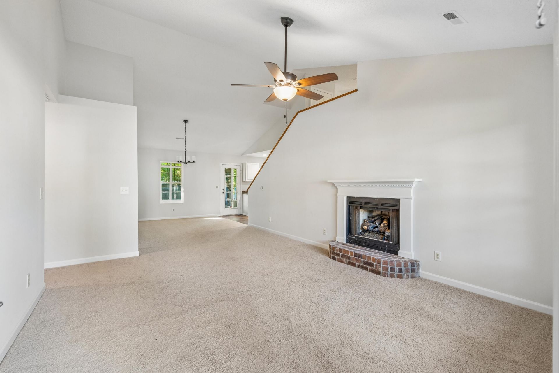 103 Mackerel Photo 8