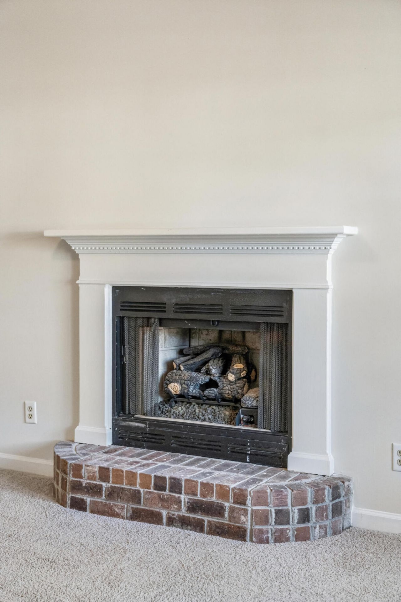 103 Mackerel Photo 9