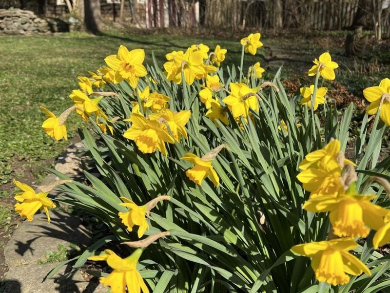 22 Burns Avenue, Wyoming, OH 45215 Photo 61