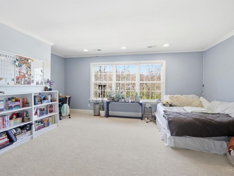 923 Princeton Drive, Terrace Park, OH 45174 Photo 39