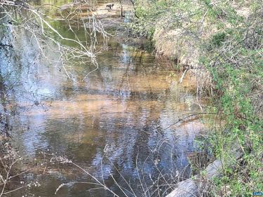 13.3 AC GLADE RD, Unit 1, SCHUYLER, VA 22969