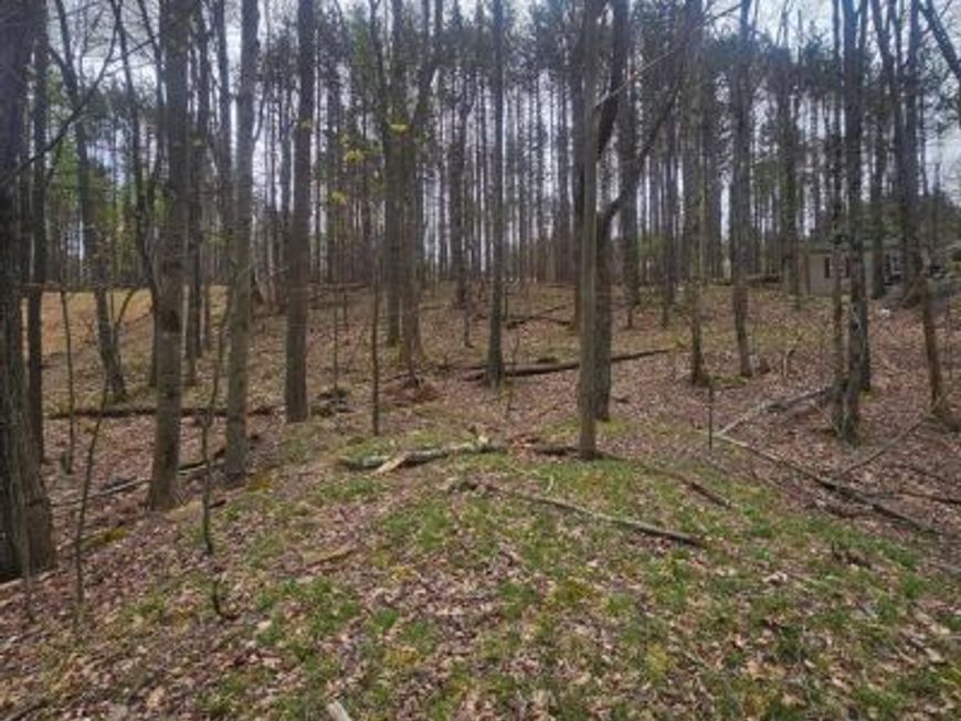 Lot 233 Cumberland, Oakland, MD 21550 Main Photo