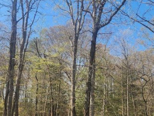 TOWER ROAD, BRANDYWINE, MD 20613