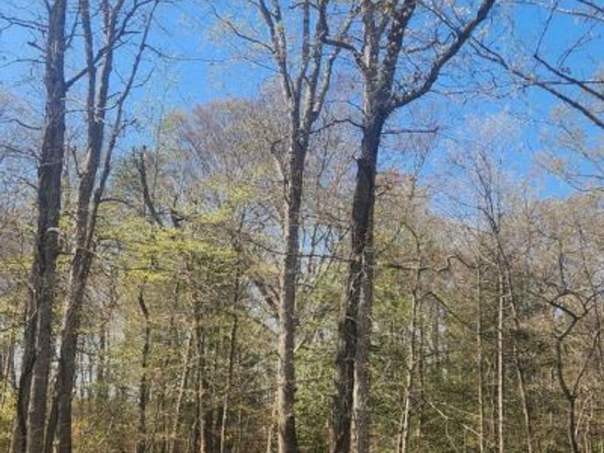 Tower Road, Brandywine, MD 20613 Main Photo