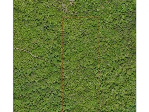 TBD Liberty Rd TBD Liberty Rd , Jefferson, TX 75657