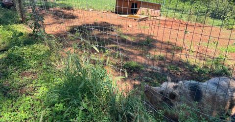 12661 Krosens Rd, Marysville, CA 95901 Photo