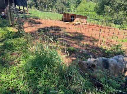 12661 Krosens Rd, Marysville, CA 95901 Photo