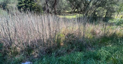 12661 Krosens Rd, Marysville, CA 95901 Photo