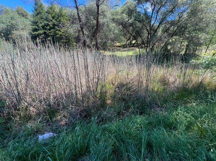 12661 Krosens Rd, Marysville, CA 95901 Photo