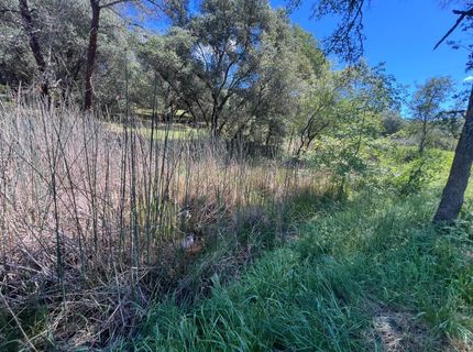 12661 Krosens Rd, Marysville, CA 95901 Photo