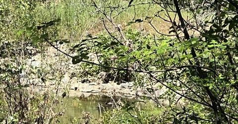 12661 Krosens Rd, Marysville, CA 95901 Photo