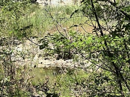 12661 Krosens Rd, Marysville, CA 95901 Photo