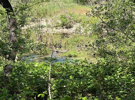 12661 Krosens Rd, Marysville, CA 95901 Photo