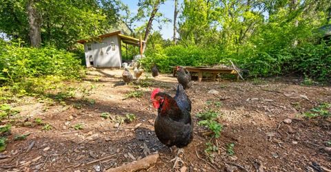 13980 Dry Creek Rd, Auburn, CA 95602 Photo