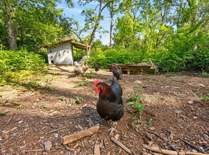 13980 Dry Creek Rd, Auburn, CA 95602 Photo