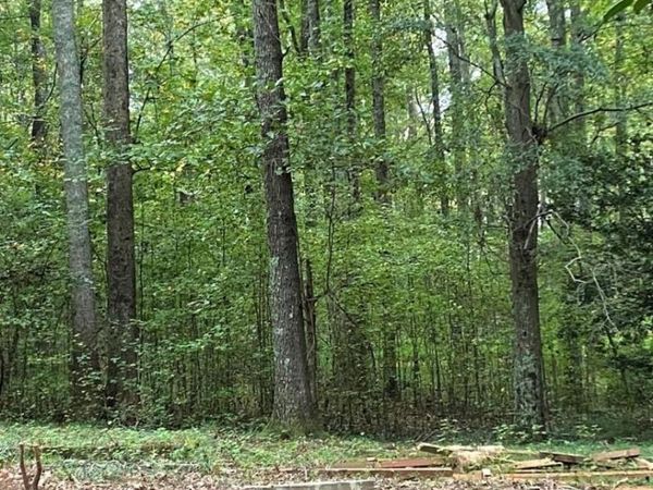 2247 Holly Court , Cumming, GA 30041