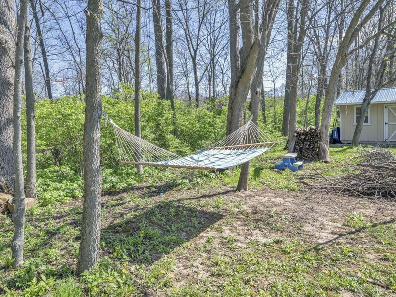 3241 County Road 24, Cardington, OH 43315 Photo 46