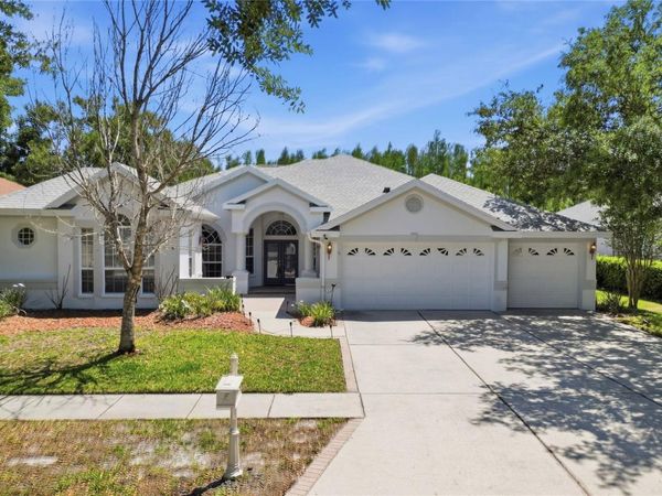 10206 SHADOW BRANCH DRIVE , TAMPA, FL 33647