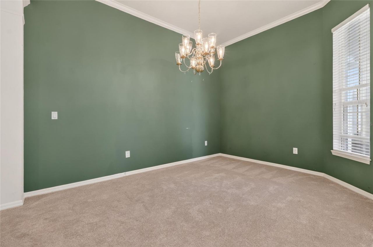 10206 Shadow Branch Drive, Tampa, FL 33647 Photo