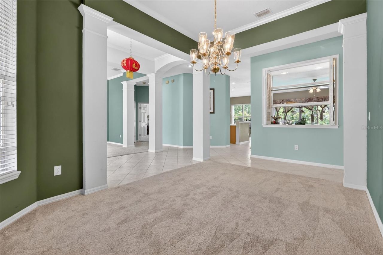 10206 Shadow Branch Drive, Tampa, FL 33647 Photo