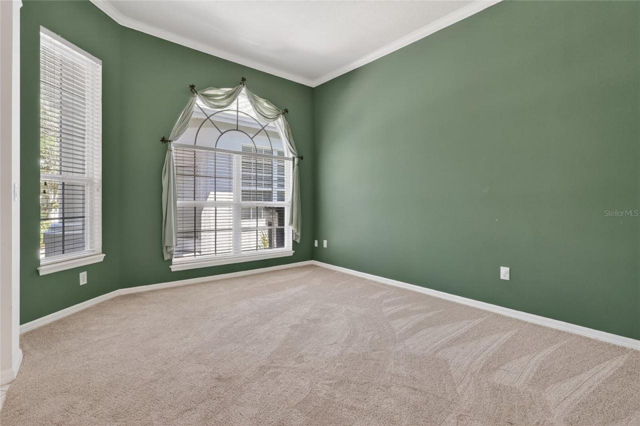 10206 Shadow Branch Drive, Tampa, FL 33647 Photo