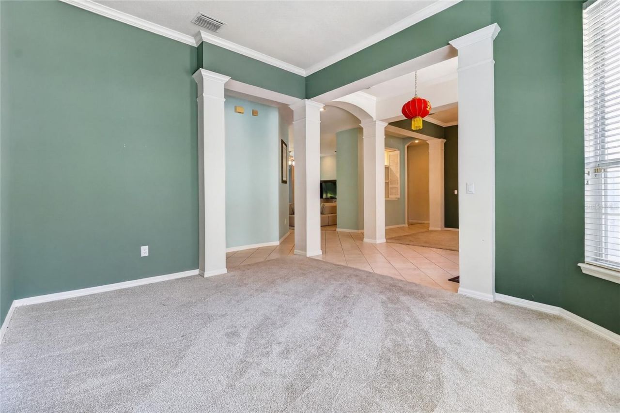 10206 Shadow Branch Drive, Tampa, FL 33647 Photo