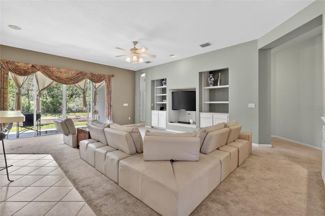10206 Shadow Branch Drive, Tampa, FL 33647 Photo