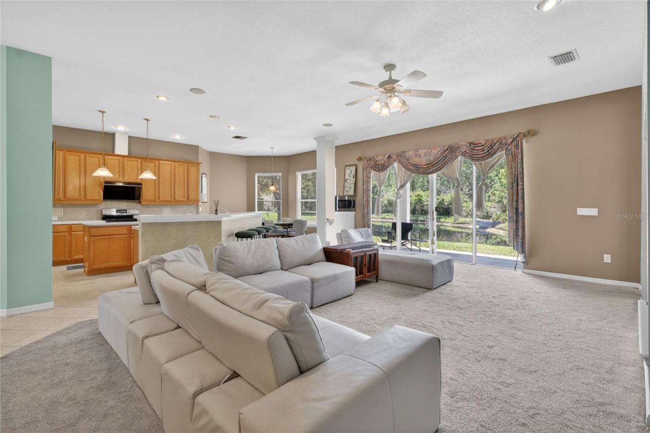 10206 Shadow Branch Drive, Tampa, FL 33647 Photo