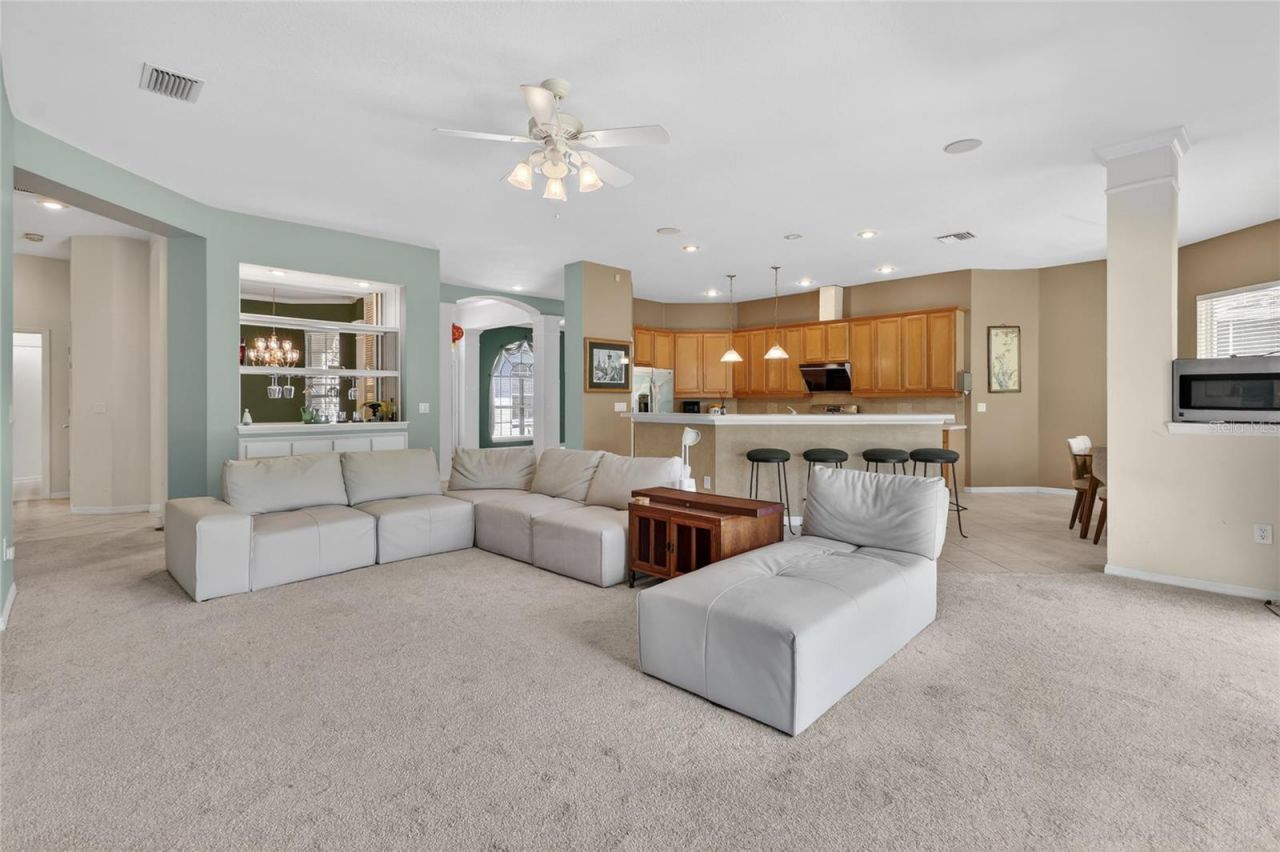 10206 Shadow Branch Drive, Tampa, FL 33647 Photo