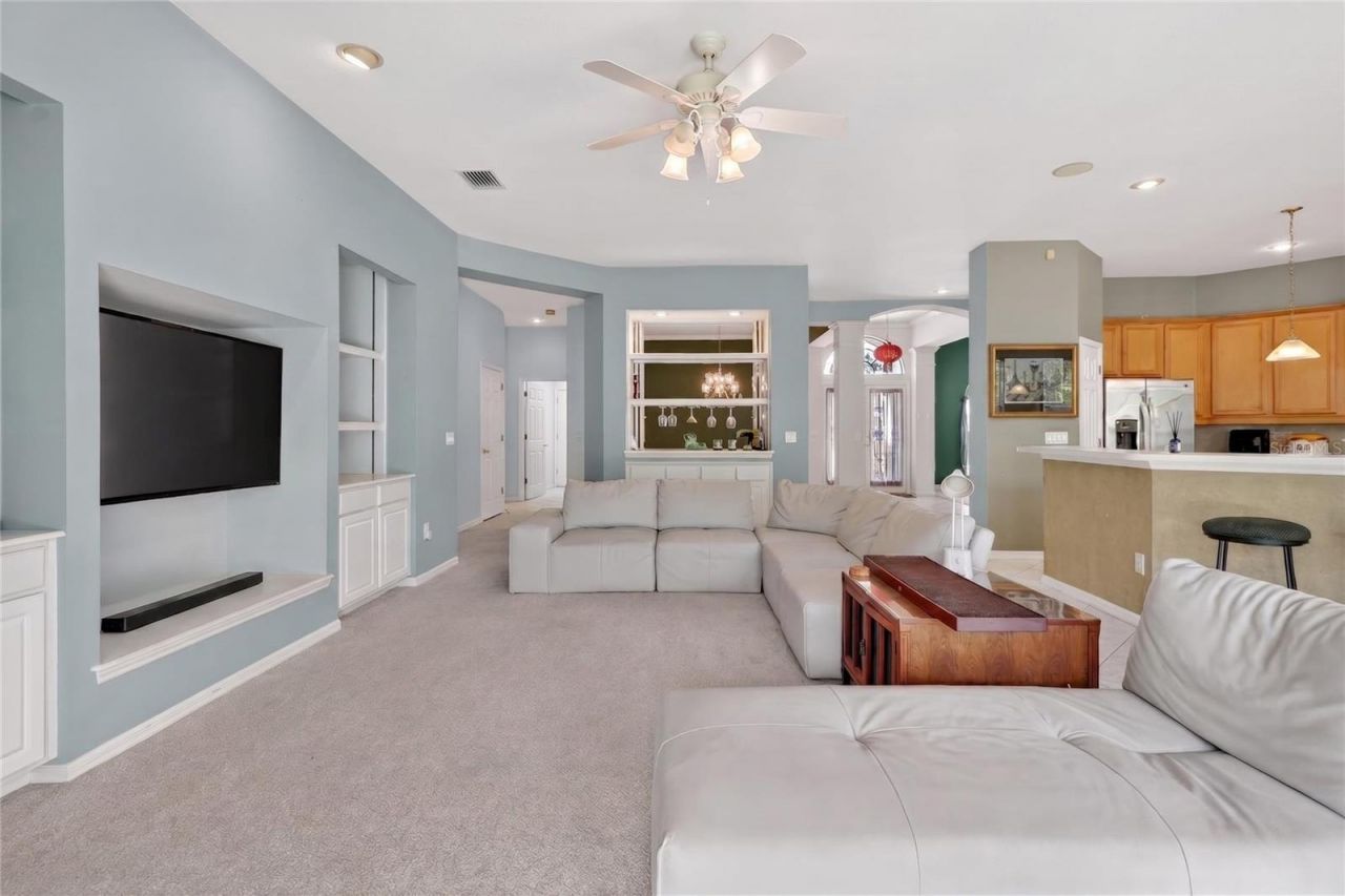 10206 Shadow Branch Drive, Tampa, FL 33647 Photo