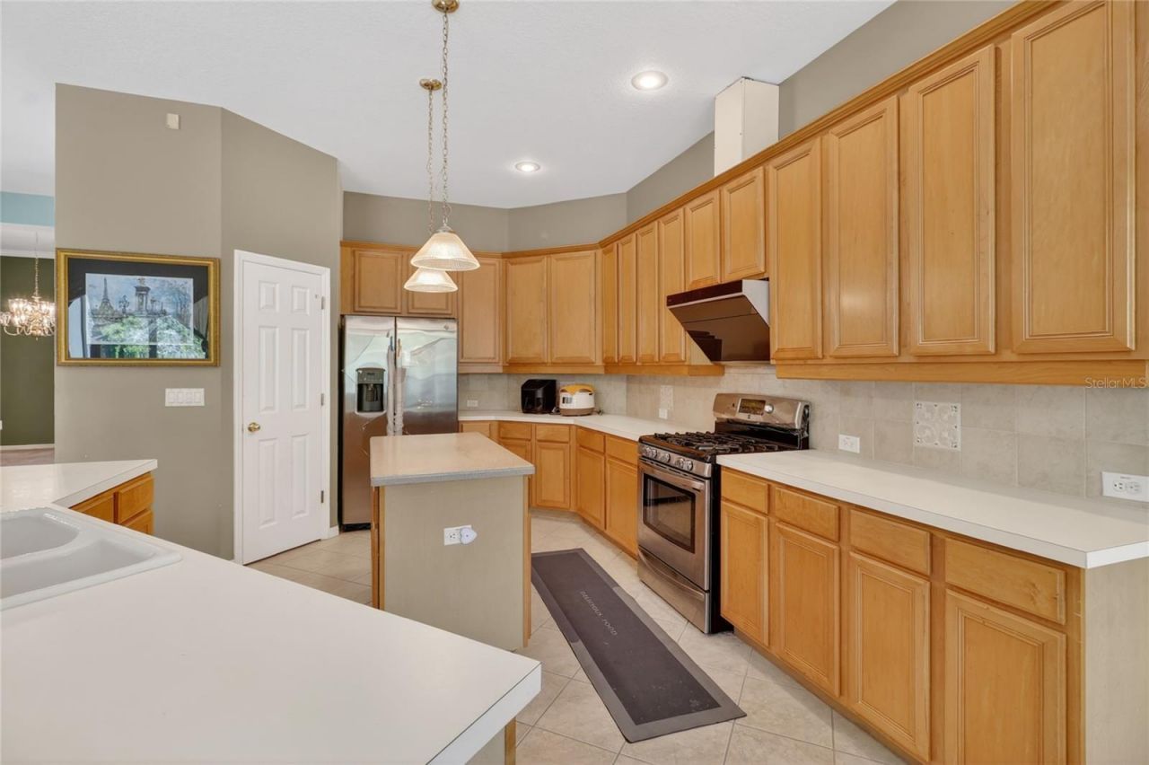 10206 Shadow Branch Drive, Tampa, FL 33647 Photo