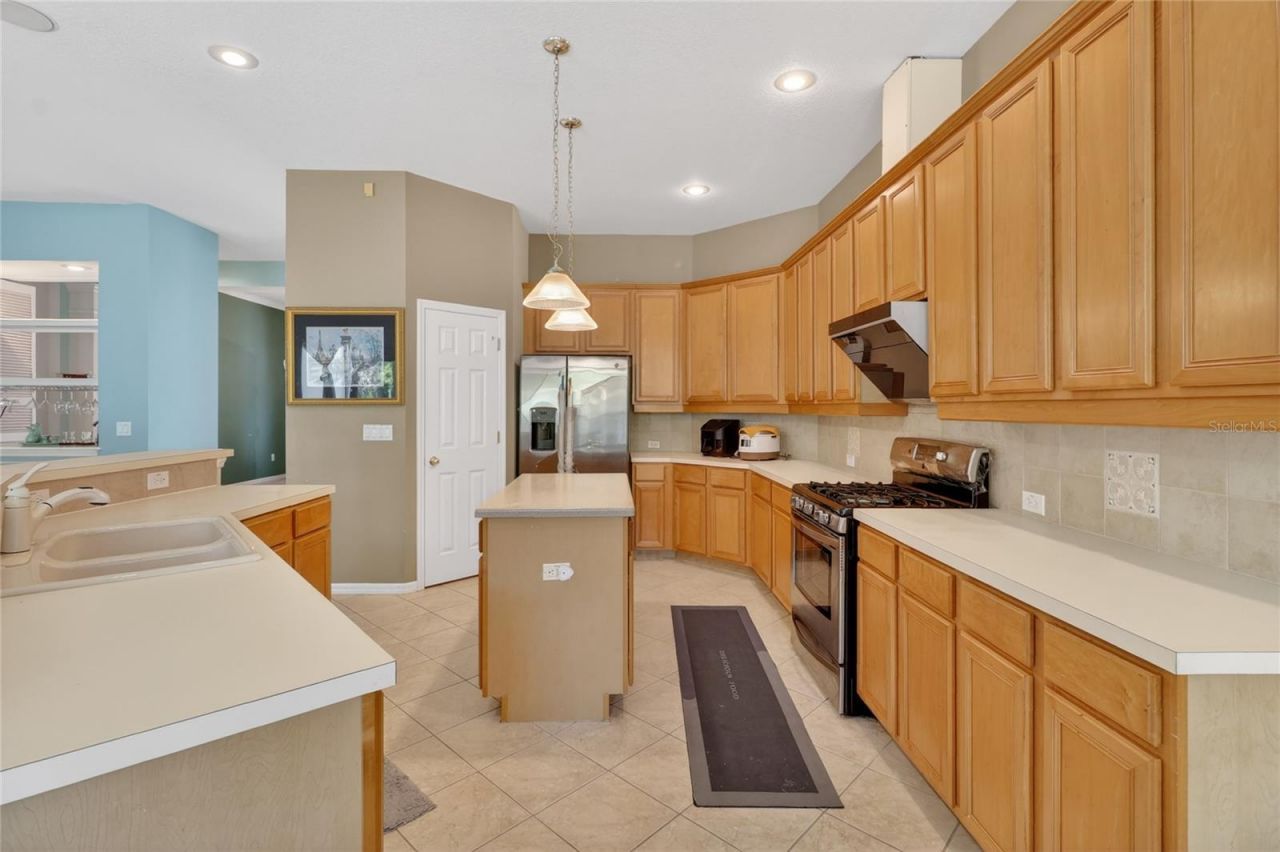 10206 Shadow Branch Drive, Tampa, FL 33647 Photo
