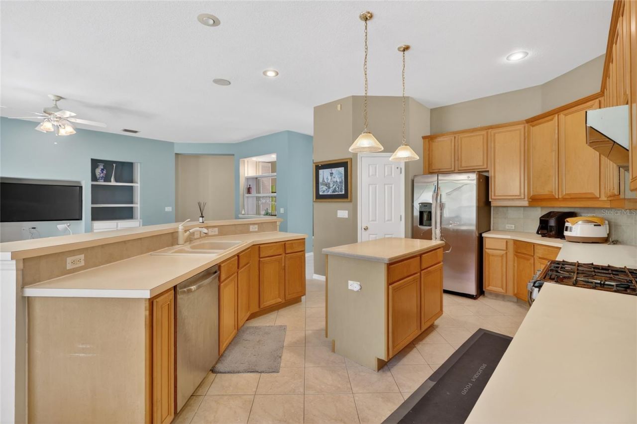 10206 Shadow Branch Drive, Tampa, FL 33647 Photo