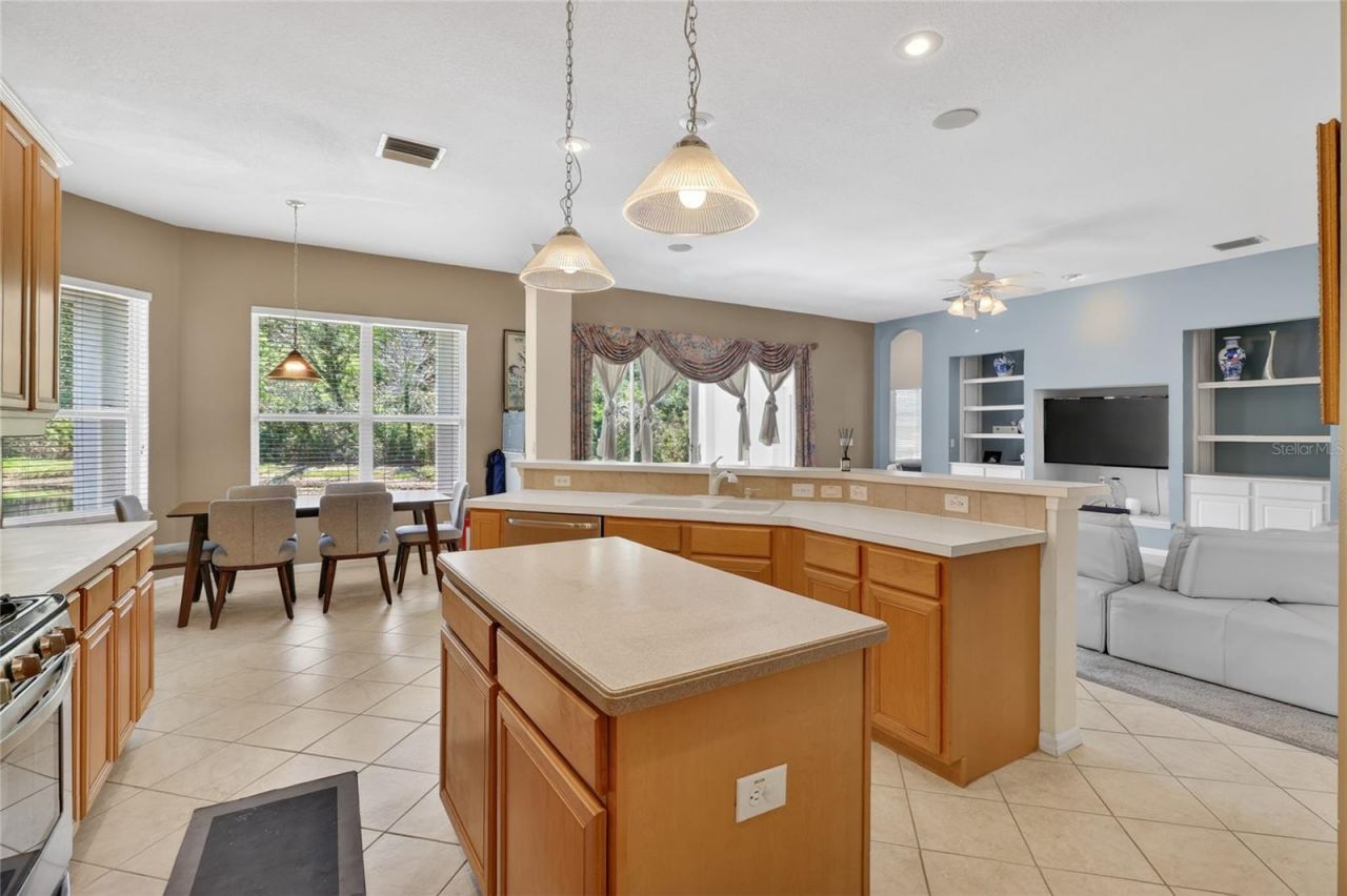 10206 Shadow Branch Drive, Tampa, FL 33647 Photo