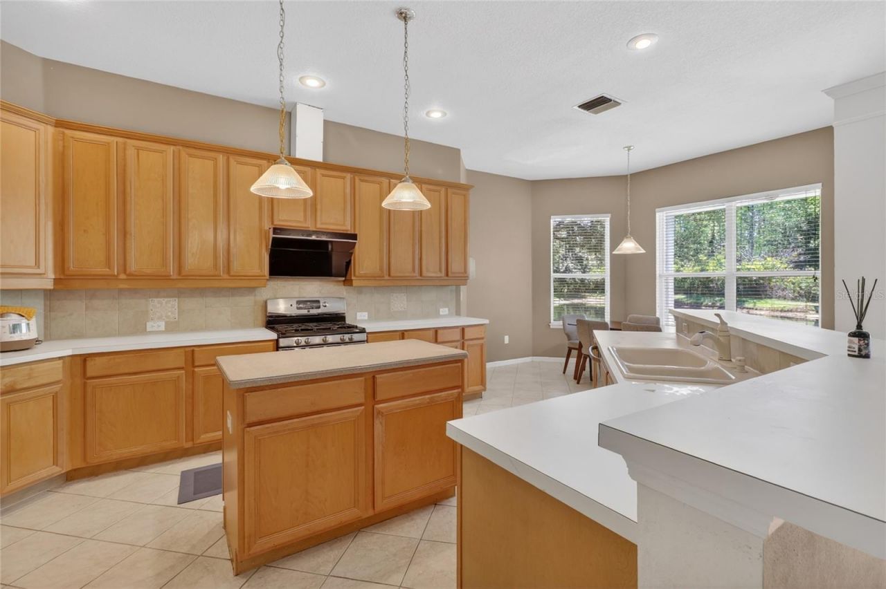 10206 Shadow Branch Drive, Tampa, FL 33647 Photo