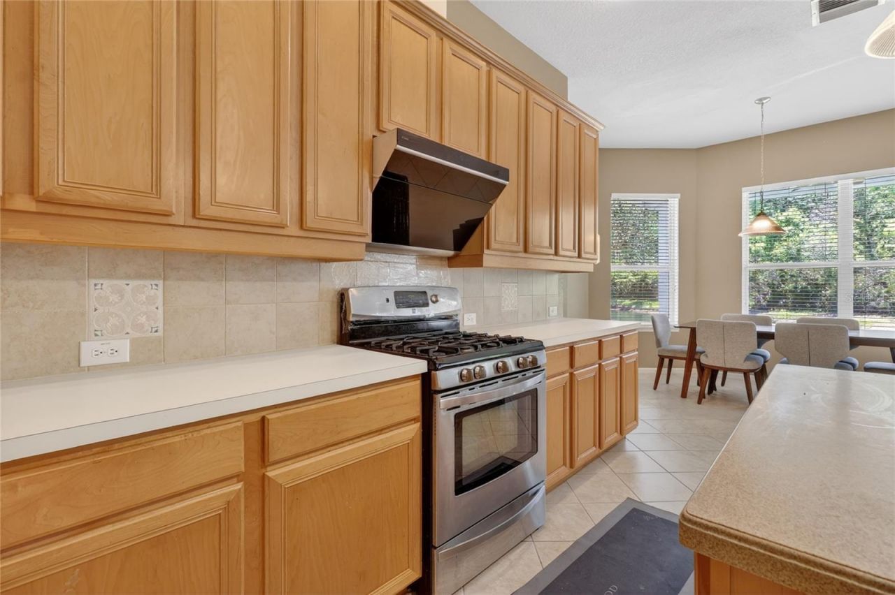 10206 Shadow Branch Drive, Tampa, FL 33647 Photo