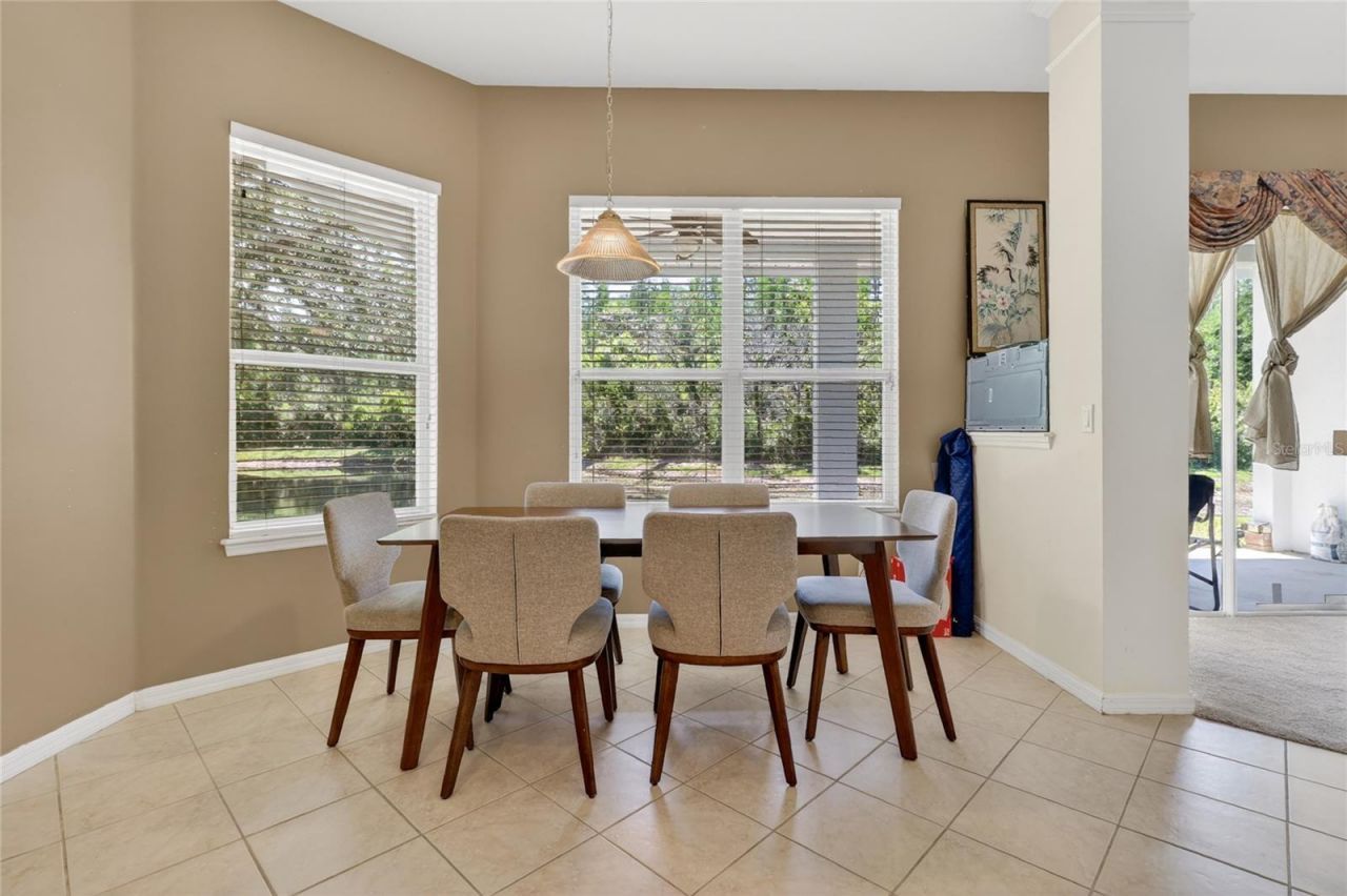 10206 Shadow Branch Drive, Tampa, FL 33647 Photo