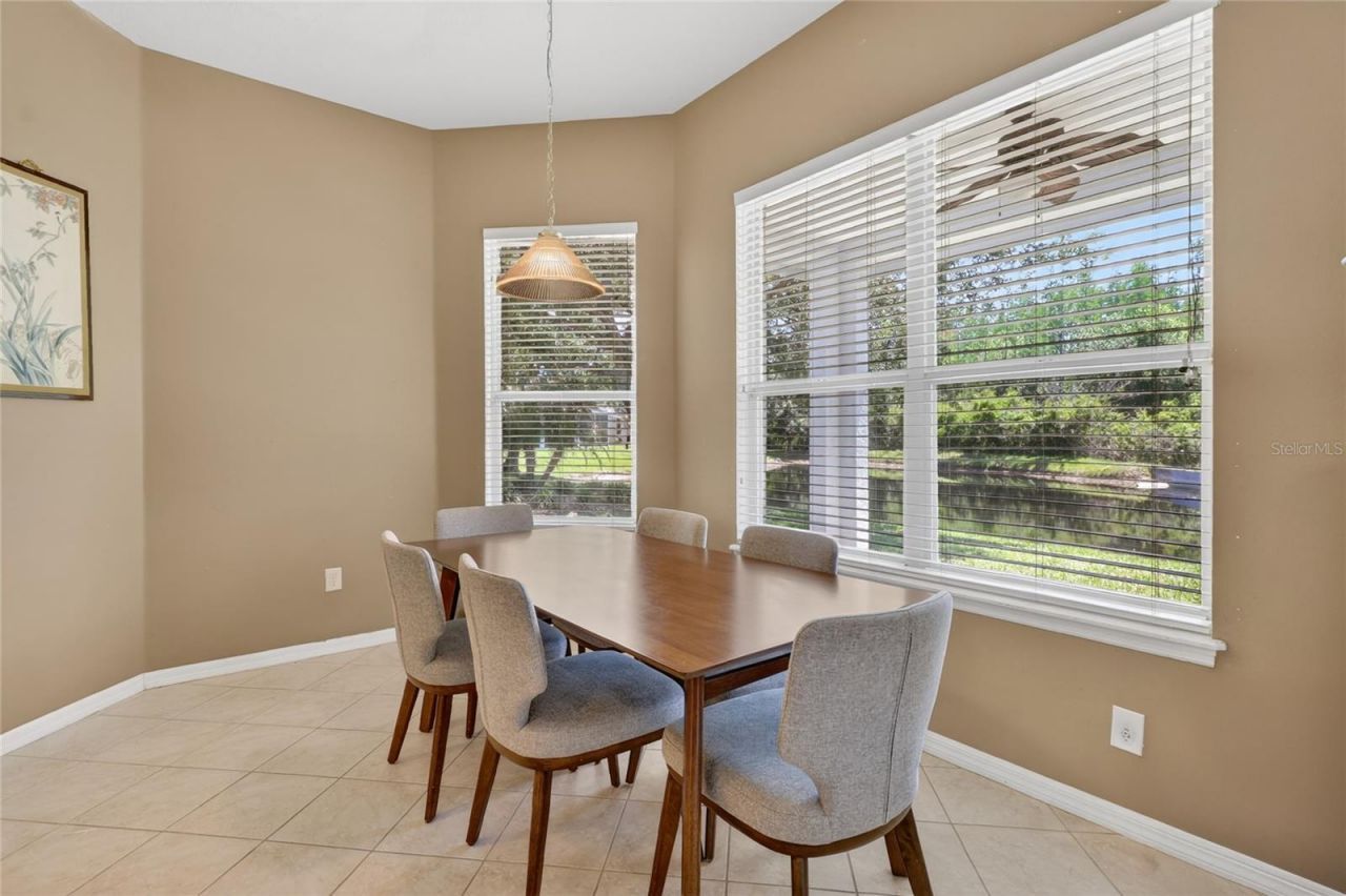 10206 Shadow Branch Drive, Tampa, FL 33647 Photo