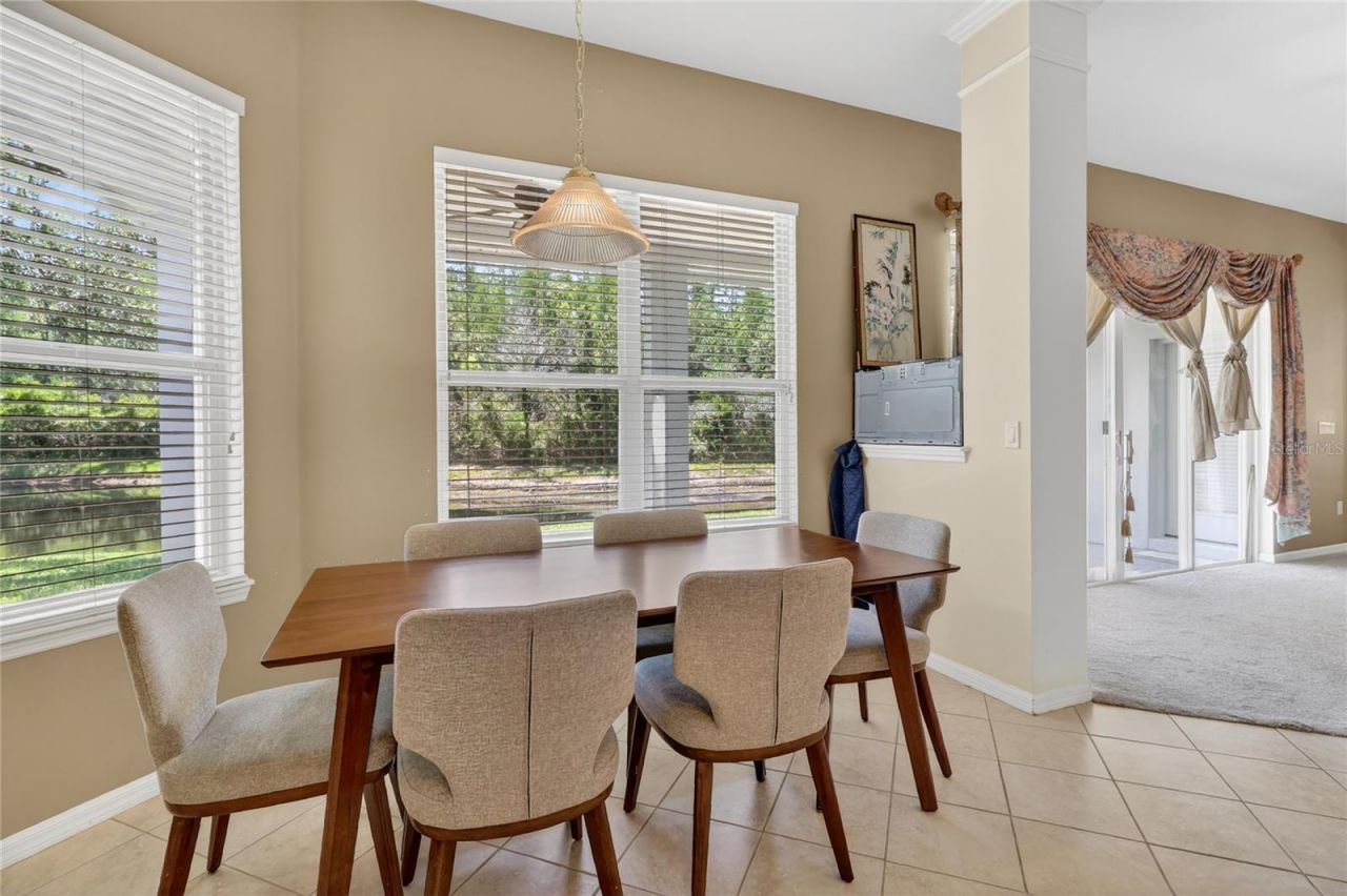 10206 Shadow Branch Drive, Tampa, FL 33647 Photo