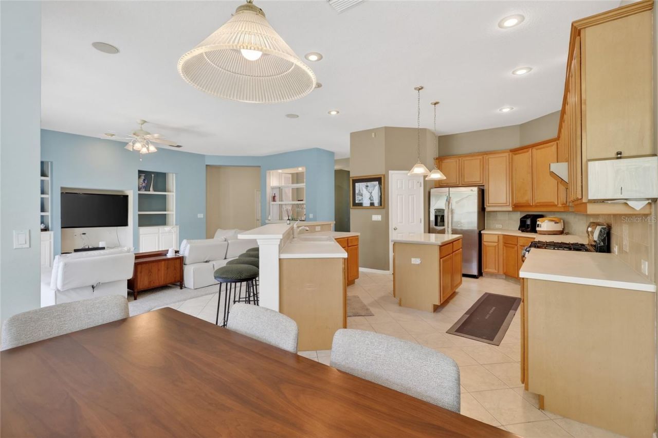 10206 Shadow Branch Drive, Tampa, FL 33647 Photo