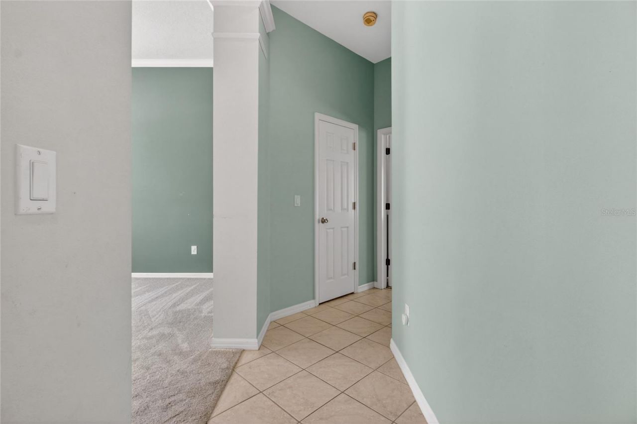 10206 Shadow Branch Drive, Tampa, FL 33647 Photo