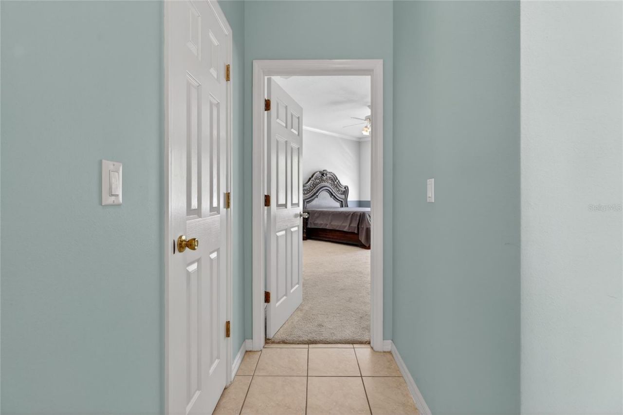 10206 Shadow Branch Drive, Tampa, FL 33647 Photo